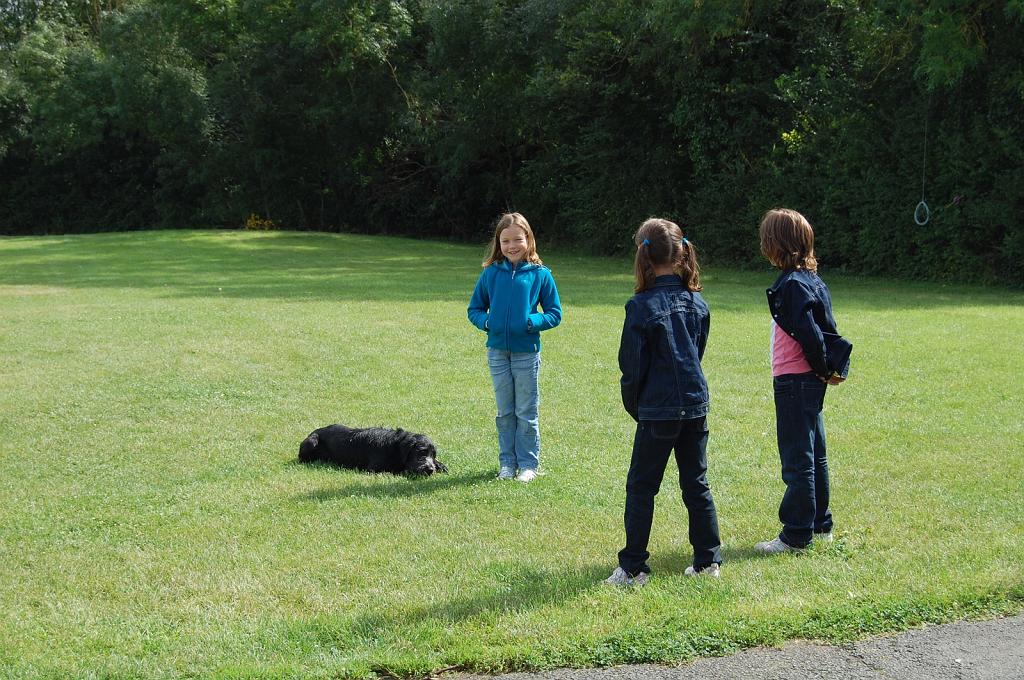 Cliquer pour l'image originale