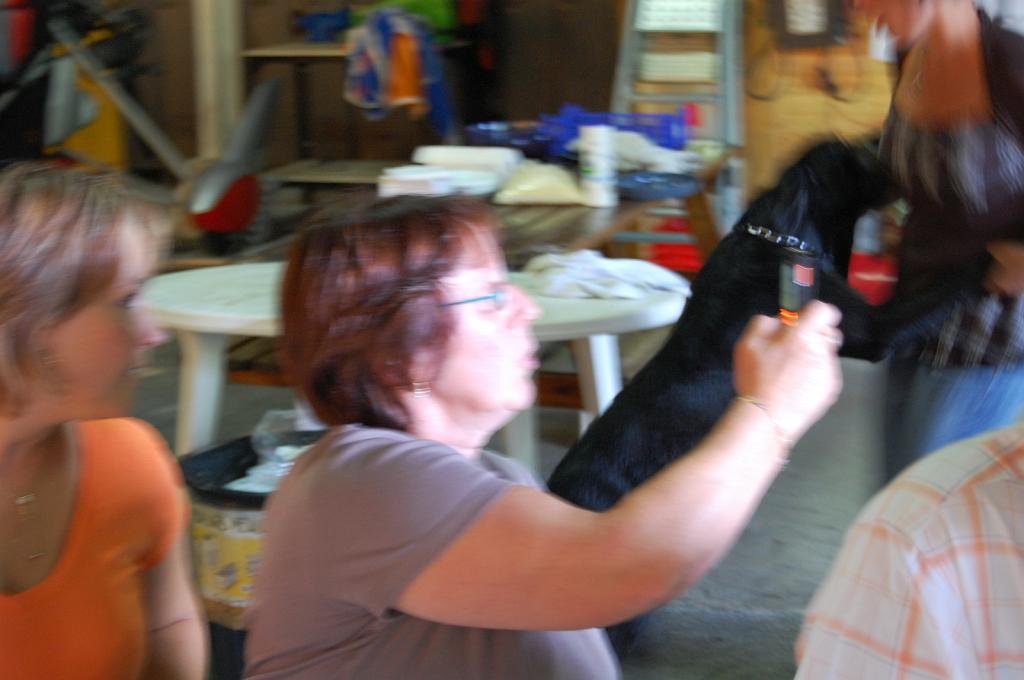 Cliquer pour l'image originale