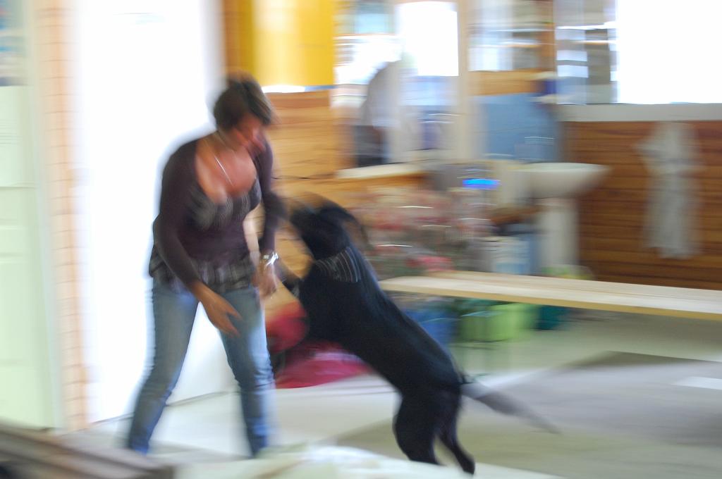 Cliquer pour l'image originale