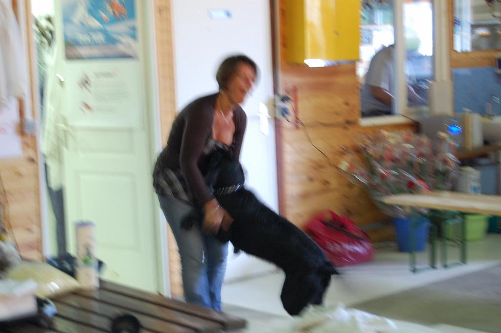 Cliquer pour l'image originale