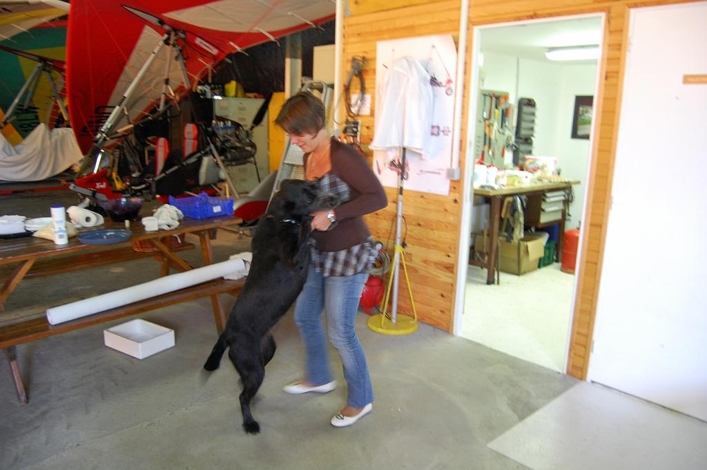 Cliquer pour l'image originale