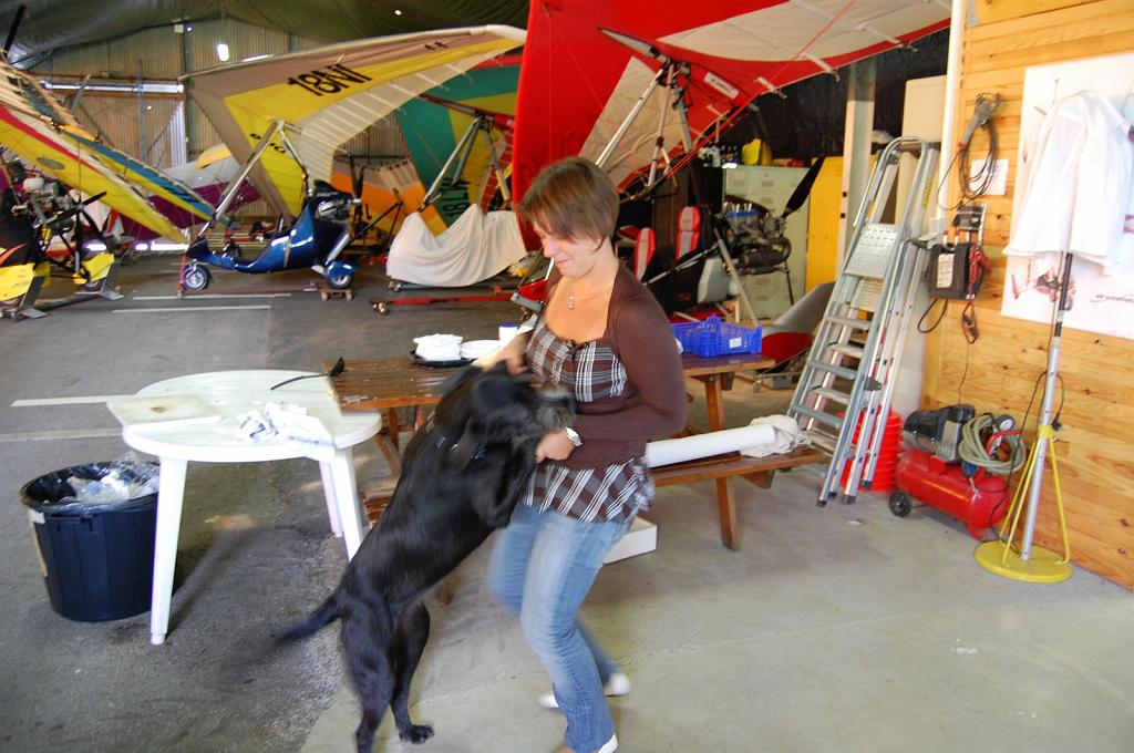 Cliquer pour l'image originale