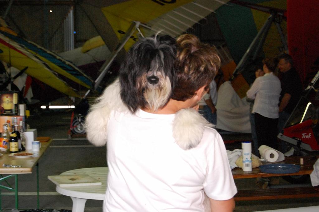 Cliquer pour l'image originale