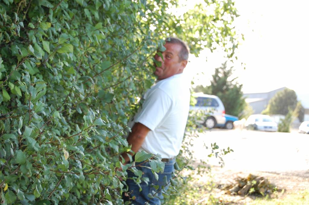 Cliquer pour l'image originale