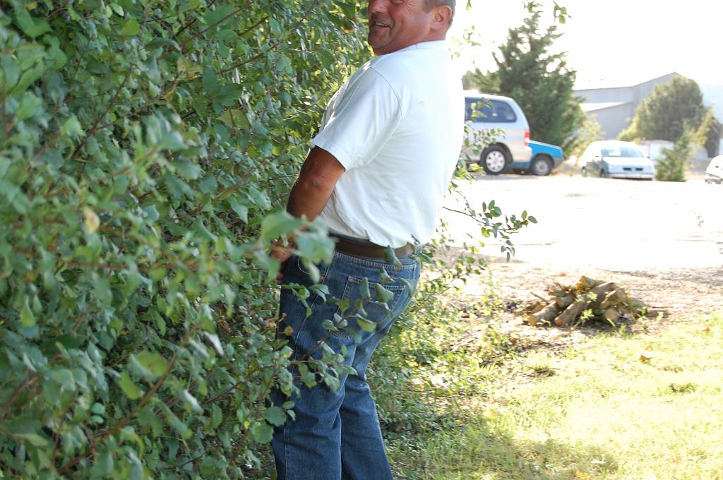 Cliquer pour l'image originale