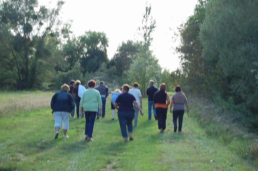 Cliquer pour l'image originale