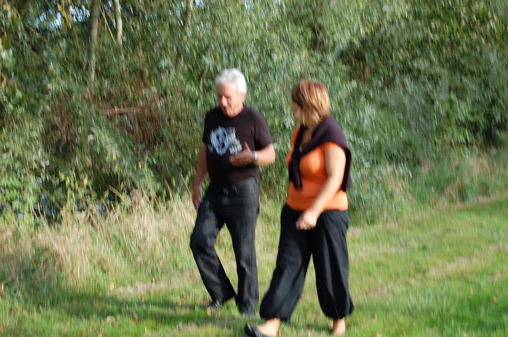 Cliquer pour l'image originale