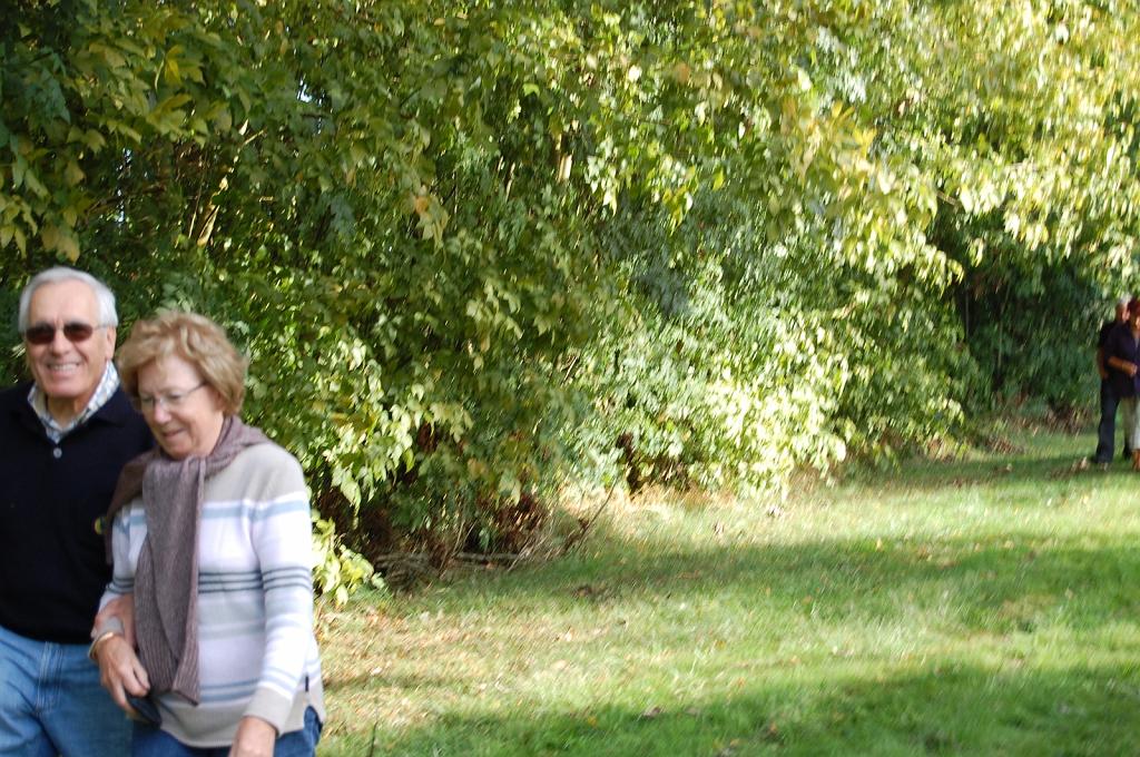 Cliquer pour l'image originale