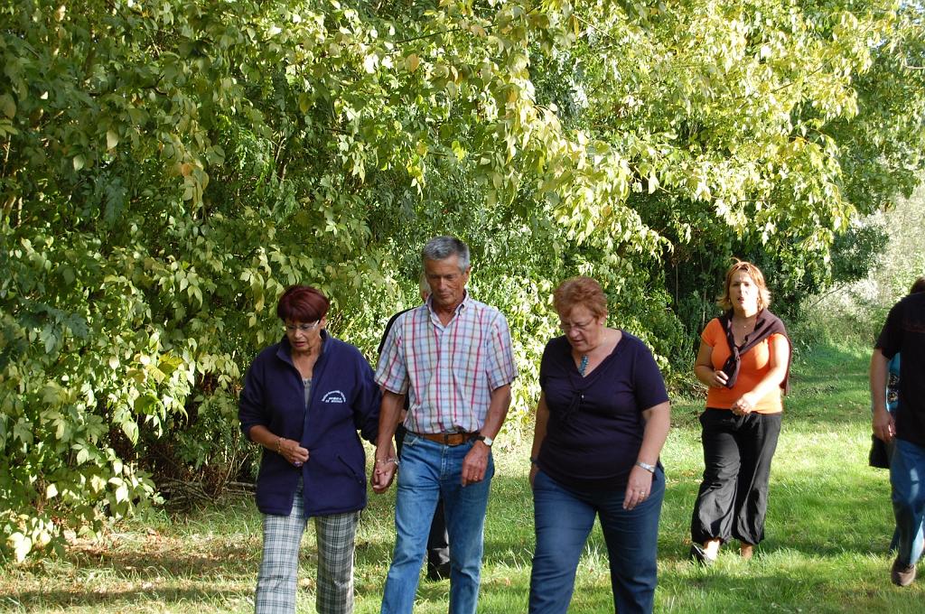 Cliquer pour l'image originale