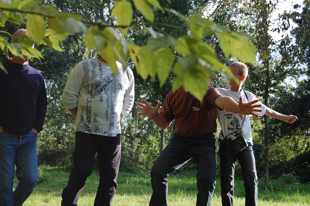 Cliquer pour l'image originale