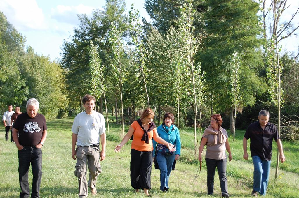 Cliquer pour l'image originale