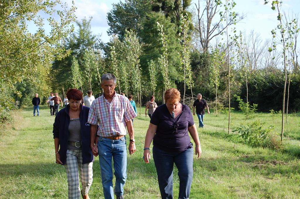 Cliquer pour l'image originale