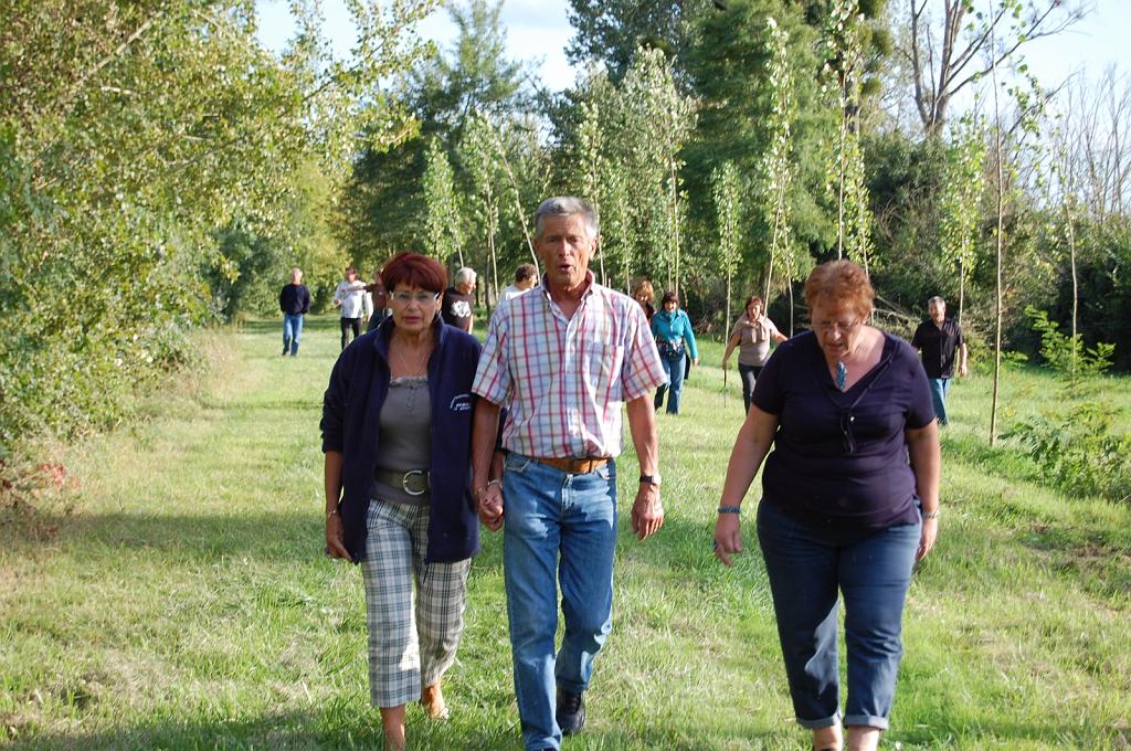 Cliquer pour l'image originale