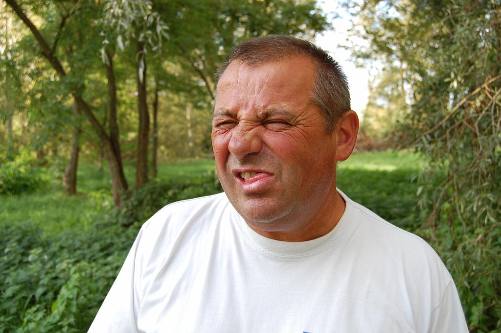 Cliquer pour l'image originale