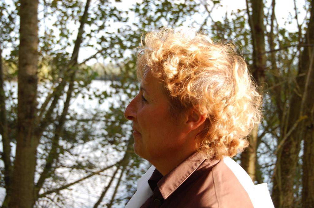 Cliquer pour l'image originale