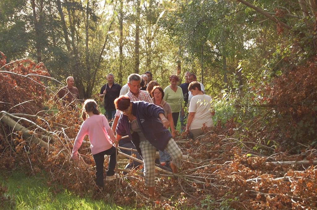 Cliquer pour l'image originale