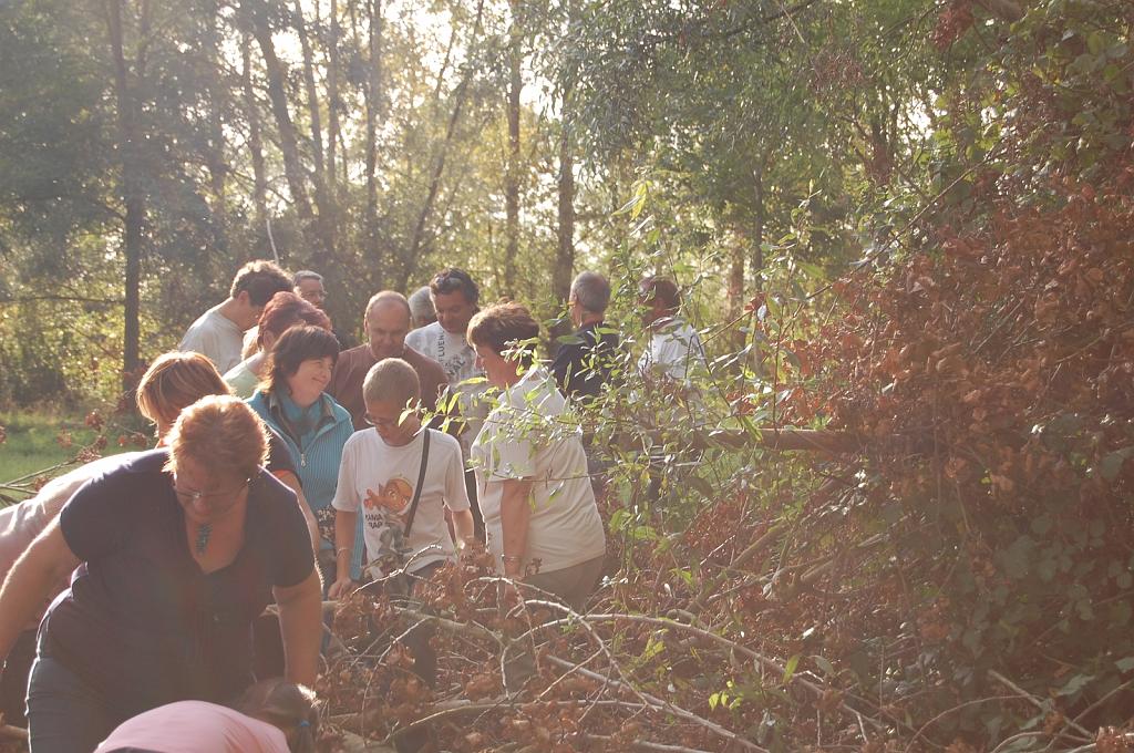 Cliquer pour l'image originale