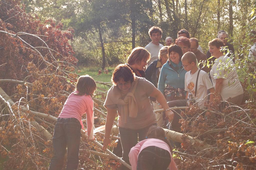 Cliquer pour l'image originale