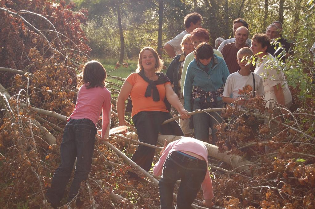 Cliquer pour l'image originale