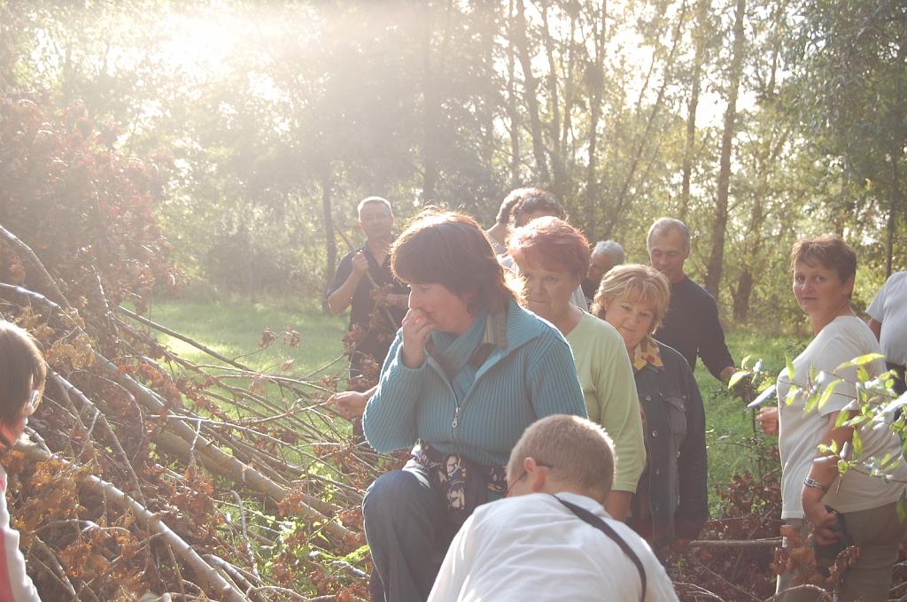 Cliquer pour l'image originale