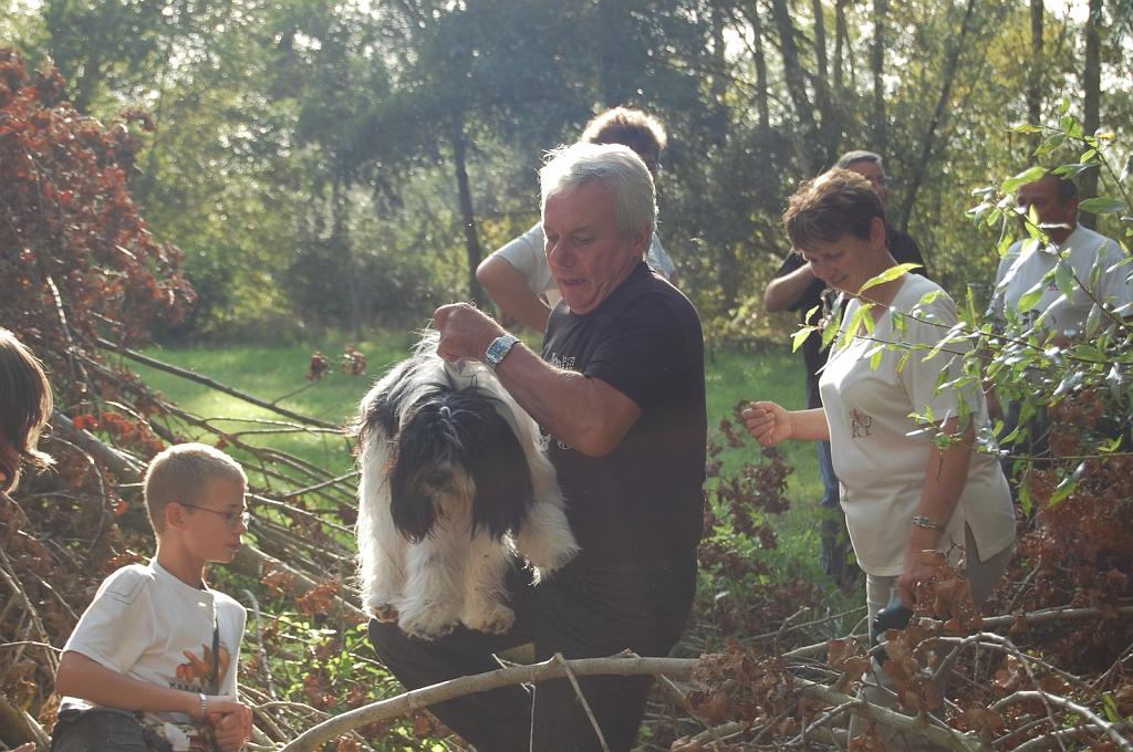 Cliquer pour l'image originale