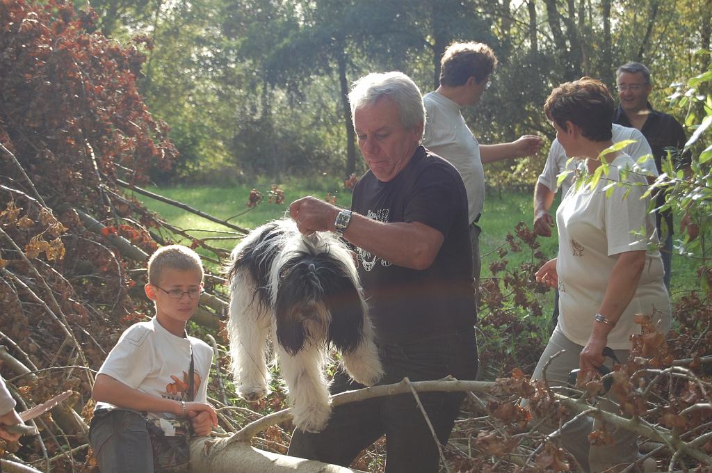 Cliquer pour l'image originale