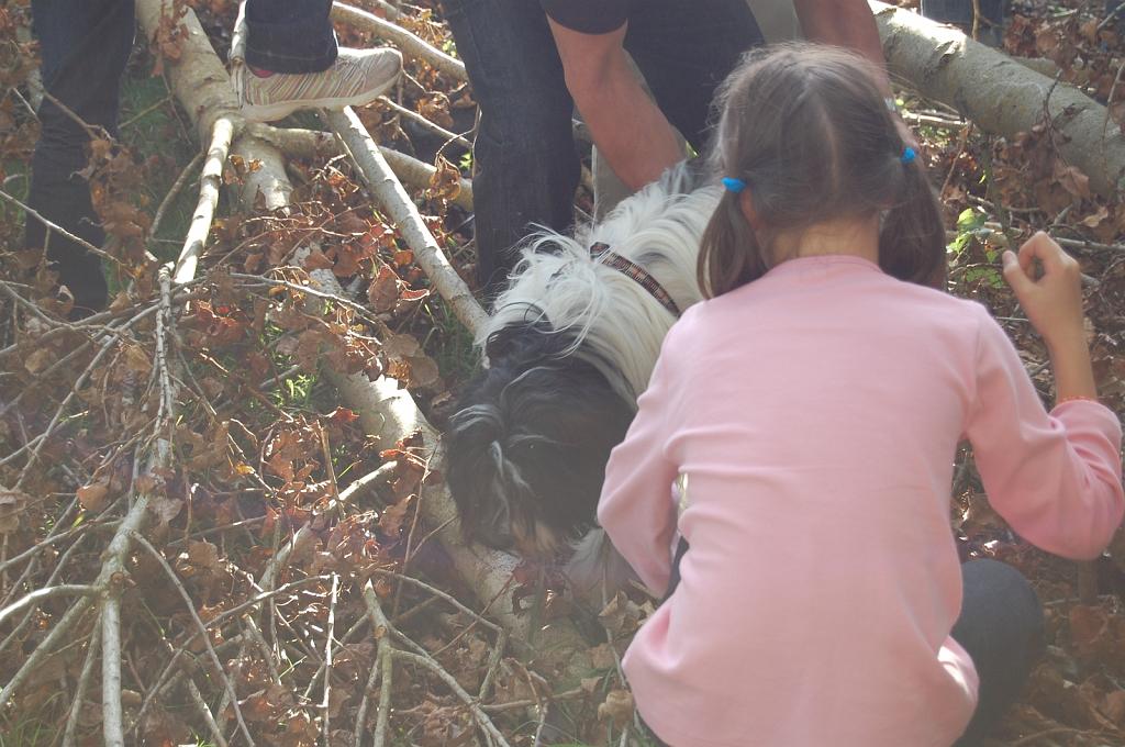 Cliquer pour l'image originale