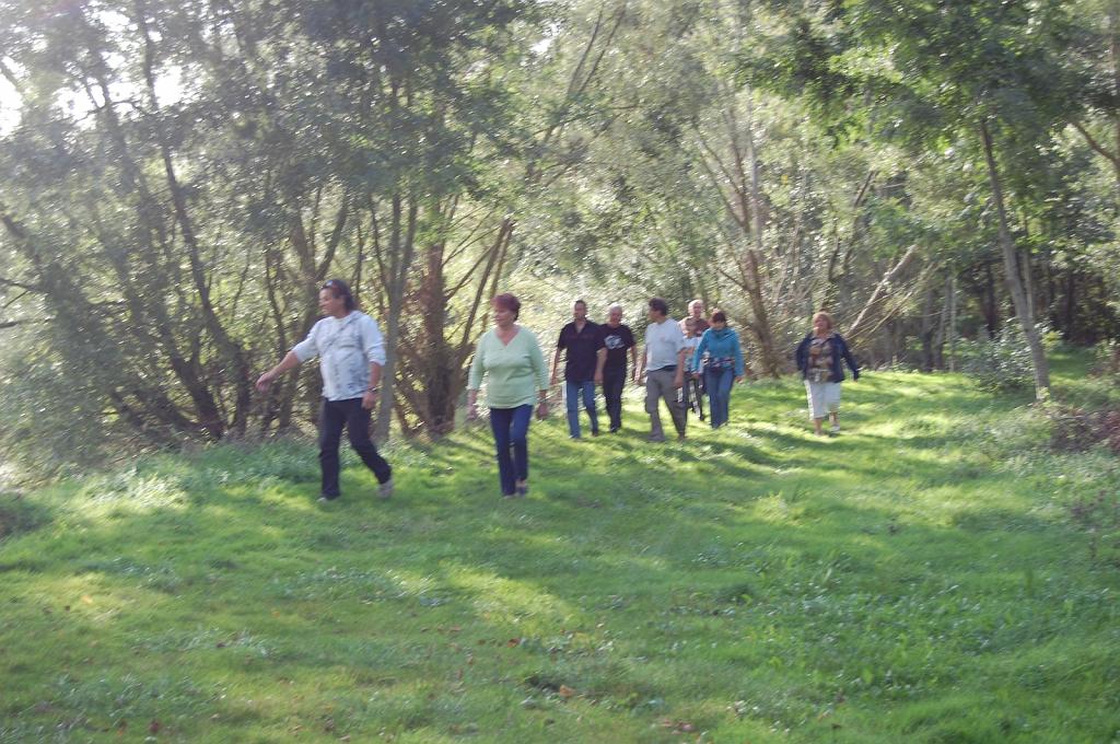 Cliquer pour l'image originale