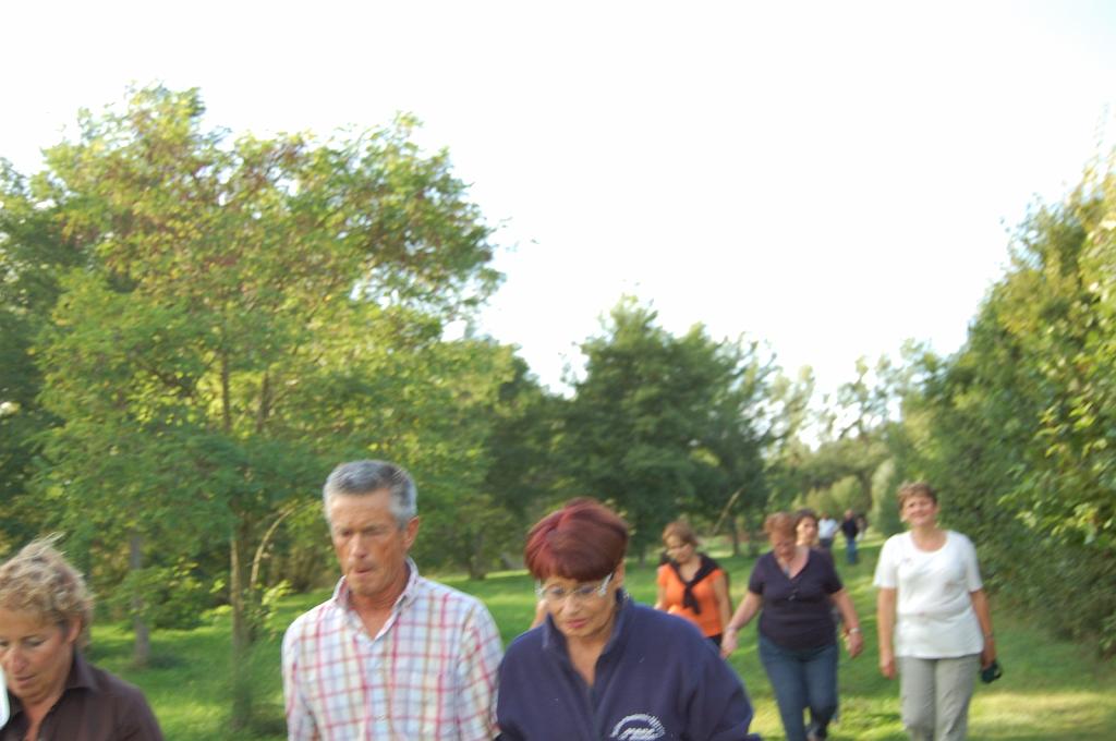 Cliquer pour l'image originale