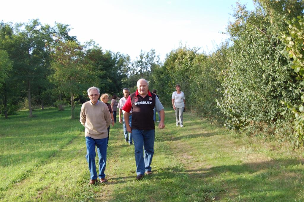 Cliquer pour l'image originale