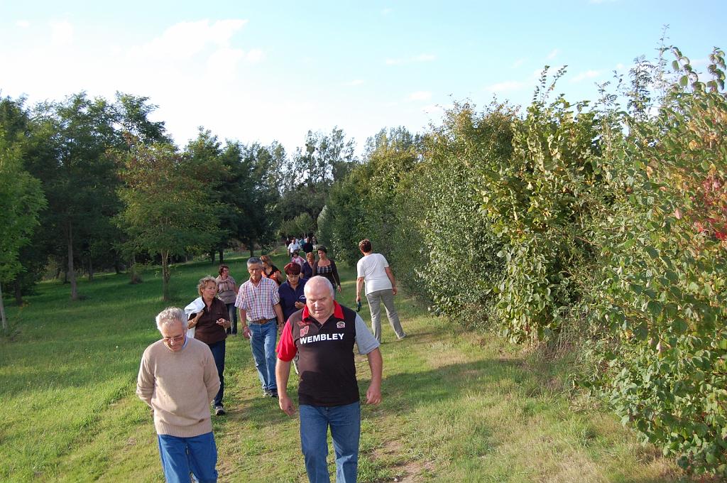 Cliquer pour l'image originale