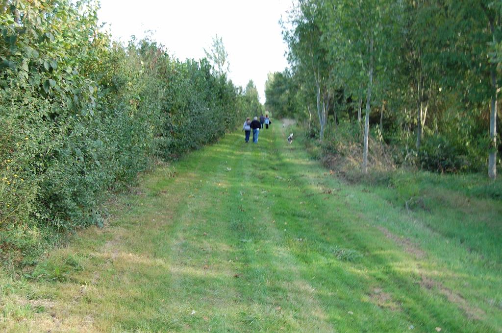 Cliquer pour l'image originale