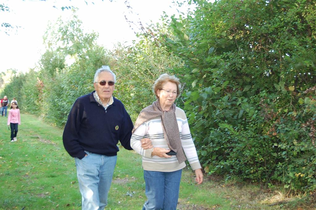 Cliquer pour l'image originale