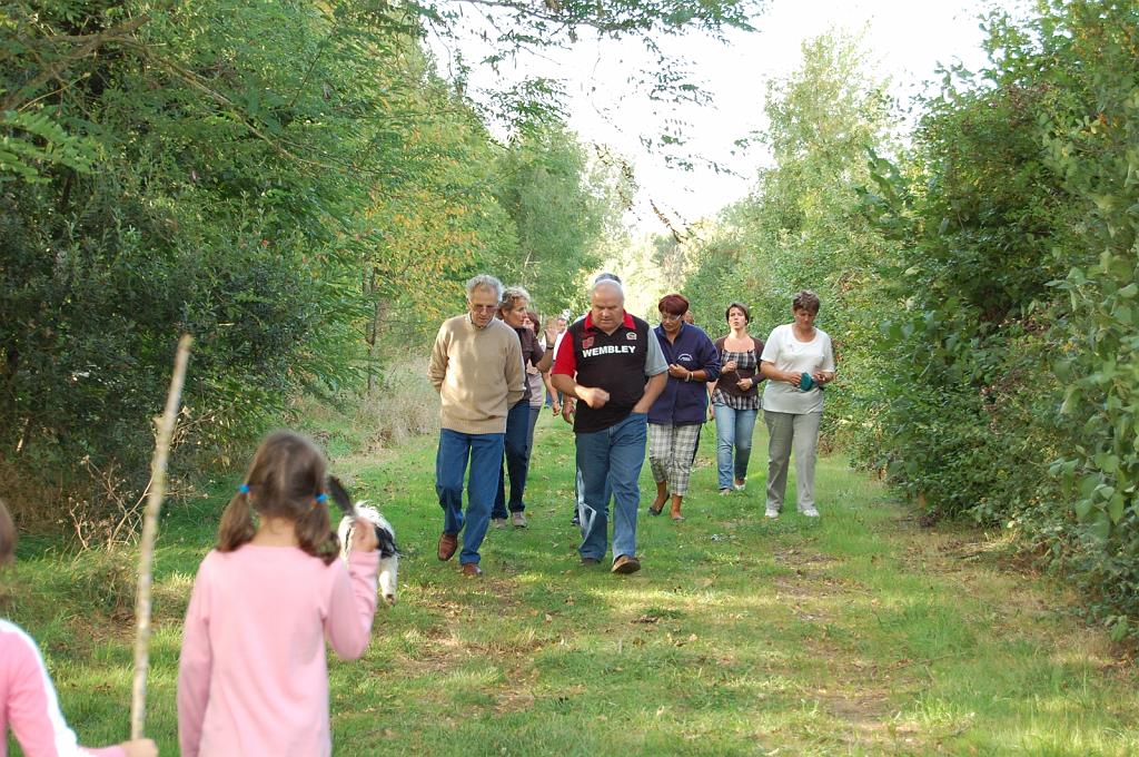 Cliquer pour l'image originale