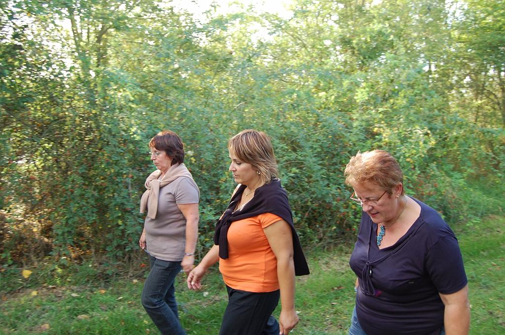 Cliquer pour l'image originale