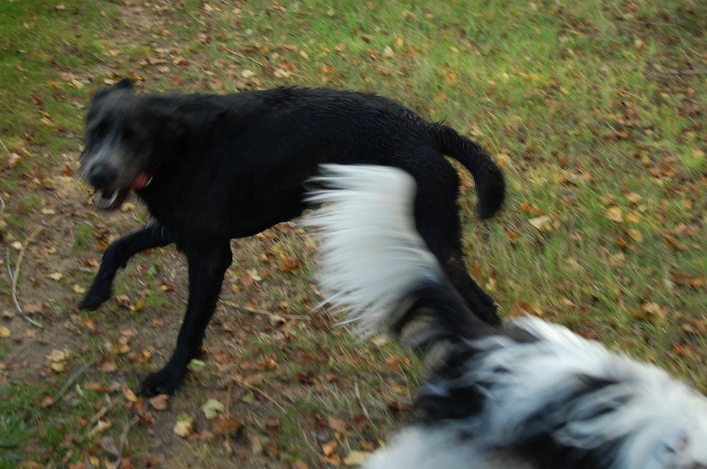 Cliquer pour l'image originale