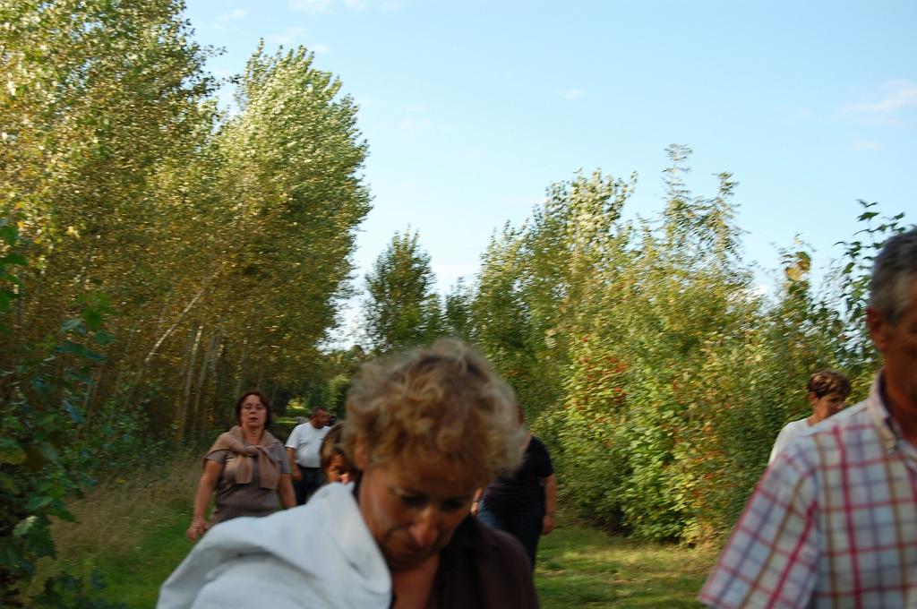 Cliquer pour l'image originale