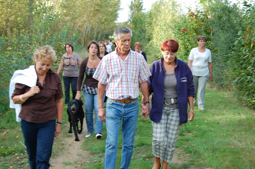 Cliquer pour l'image originale