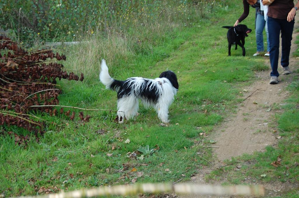 Cliquer pour l'image originale