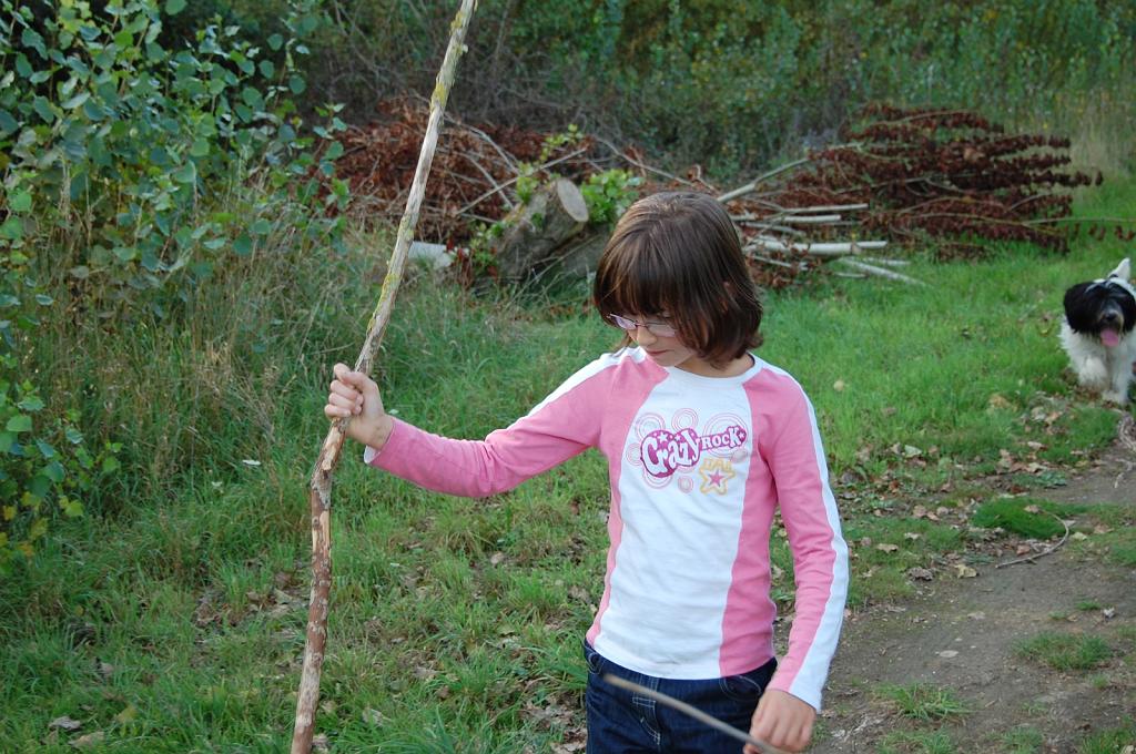 Cliquer pour l'image originale