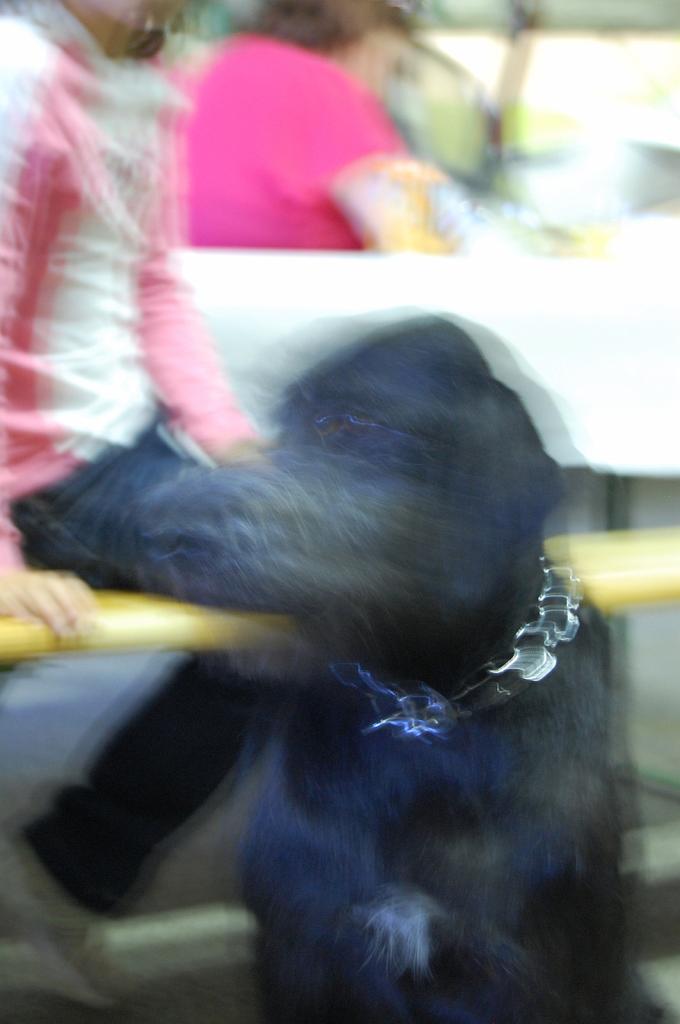 Cliquer pour l'image originale