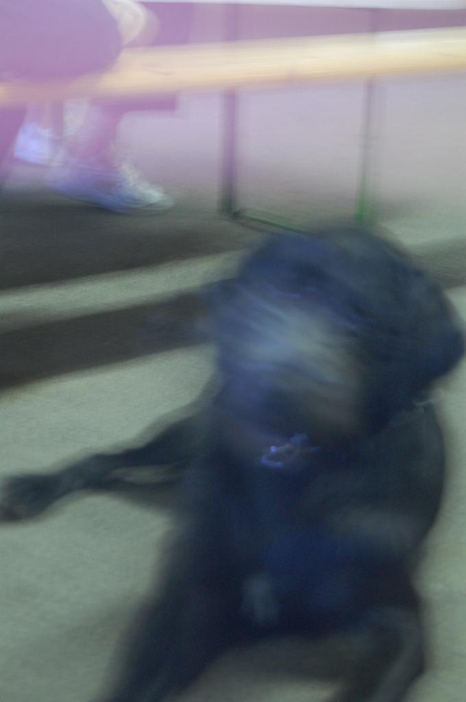 Cliquer pour l'image originale