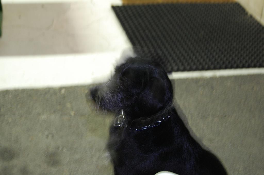 Cliquer pour l'image originale