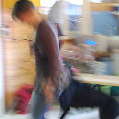 dsc_4040 * 1600 x 1063 * (683KB)