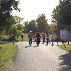 dsc_4175 * 1600 x 1063 * (1.44MB)