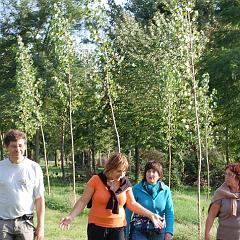 dsc_4210 * 1600 x 1063 * (1.51MB)