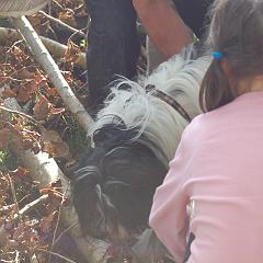 dsc_4240 * 1600 x 1063 * (1.1MB)