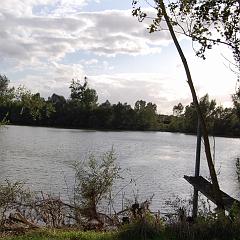 dsc_4252 * 1600 x 1063 * (1.38MB)