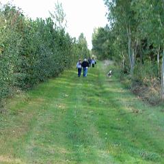 dsc_4258 * 1600 x 1063 * (1.35MB)