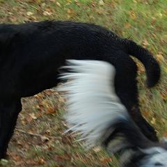 dsc_4271 * 1600 x 1063 * (1.09MB)